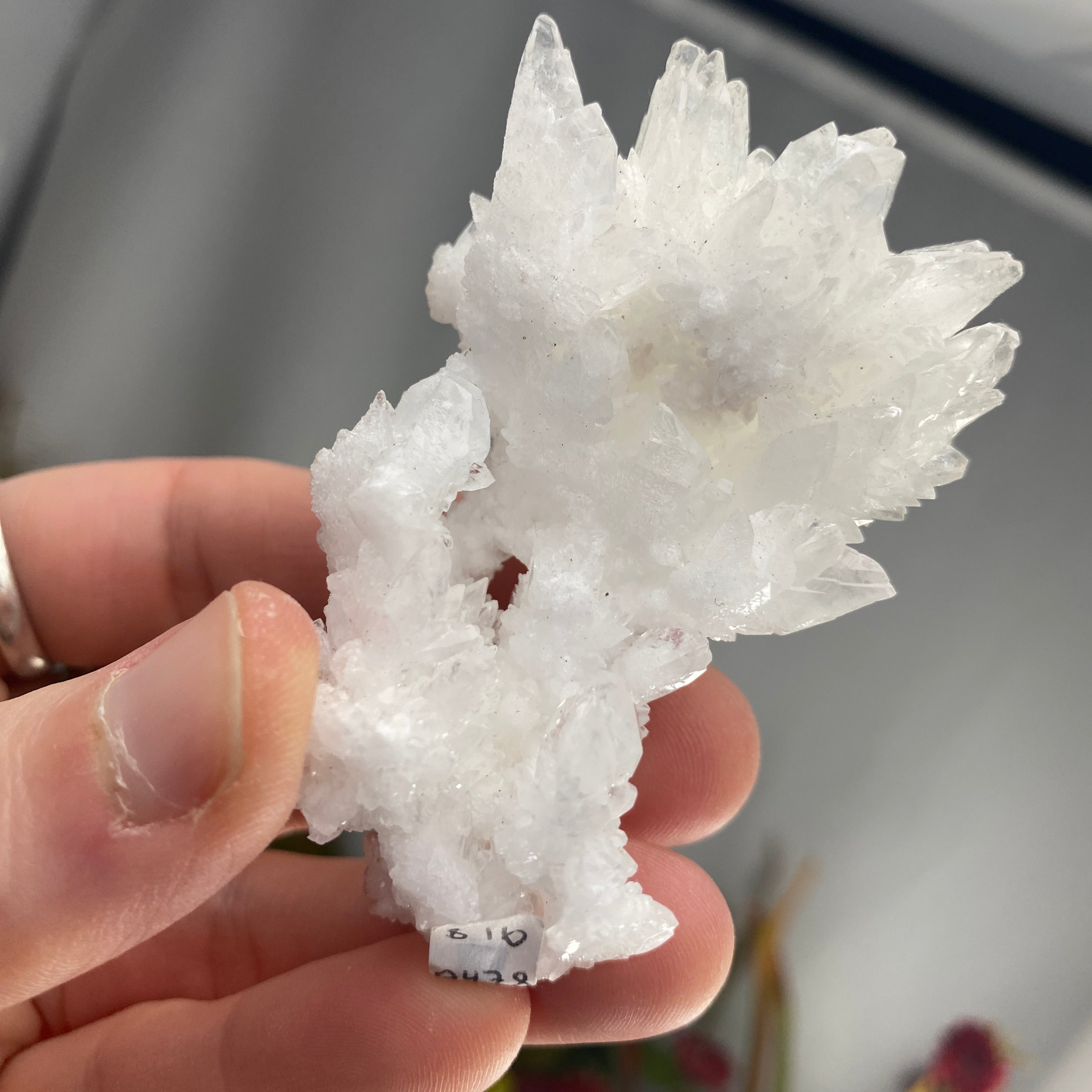 Bundle Deal Raw Specimen 4 Pc Set #C952